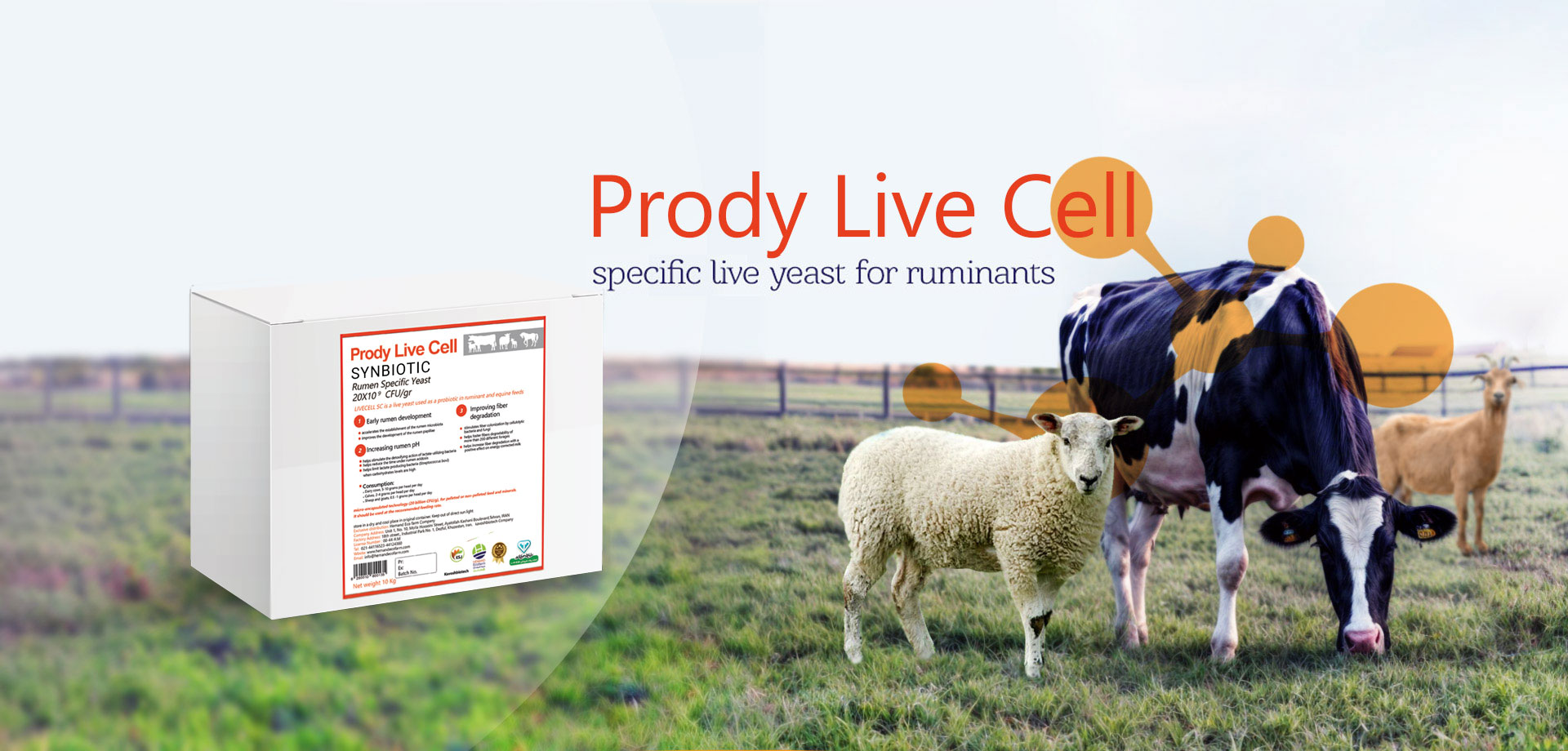 live specifide yeast for ruminants